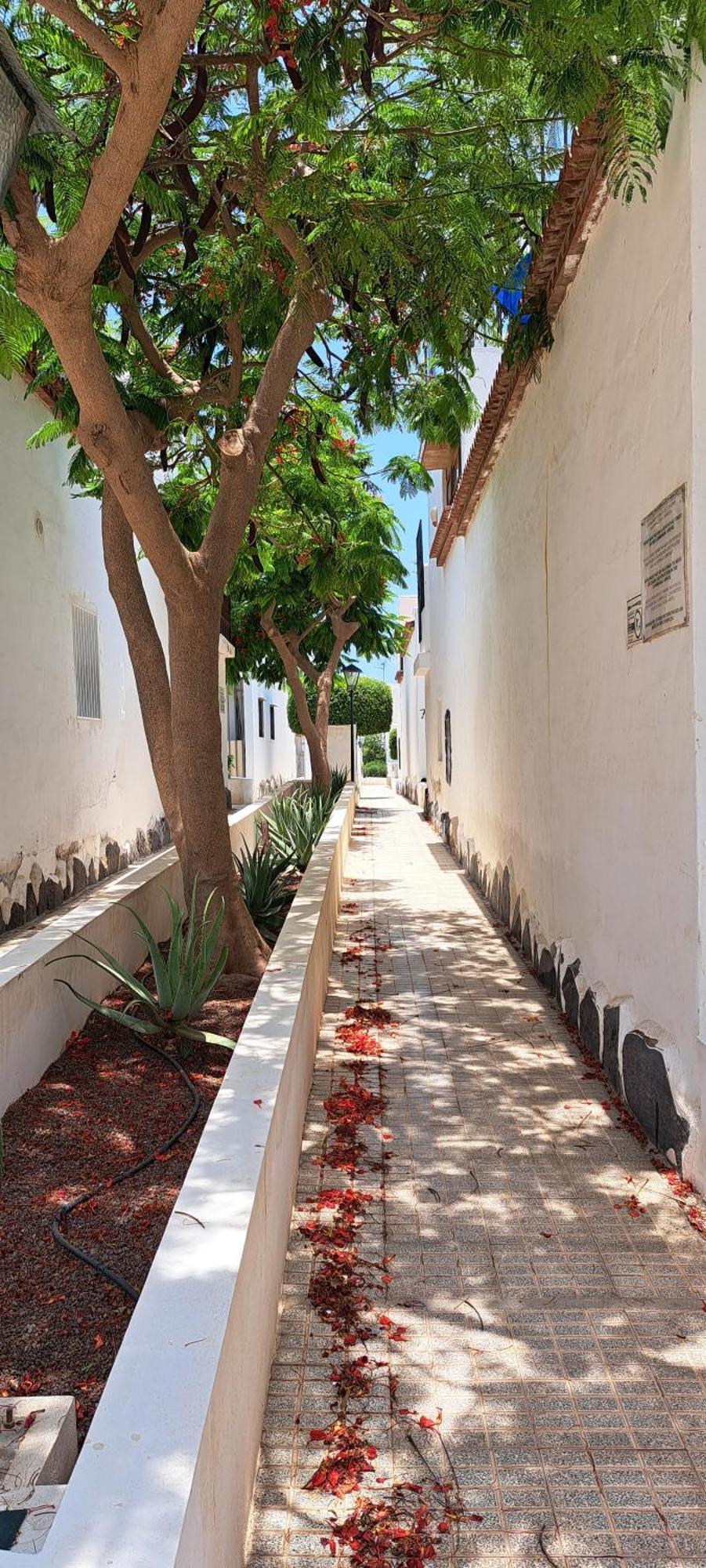 Ferienwohnung Kassisaba Costa Del Silencio Exterior foto